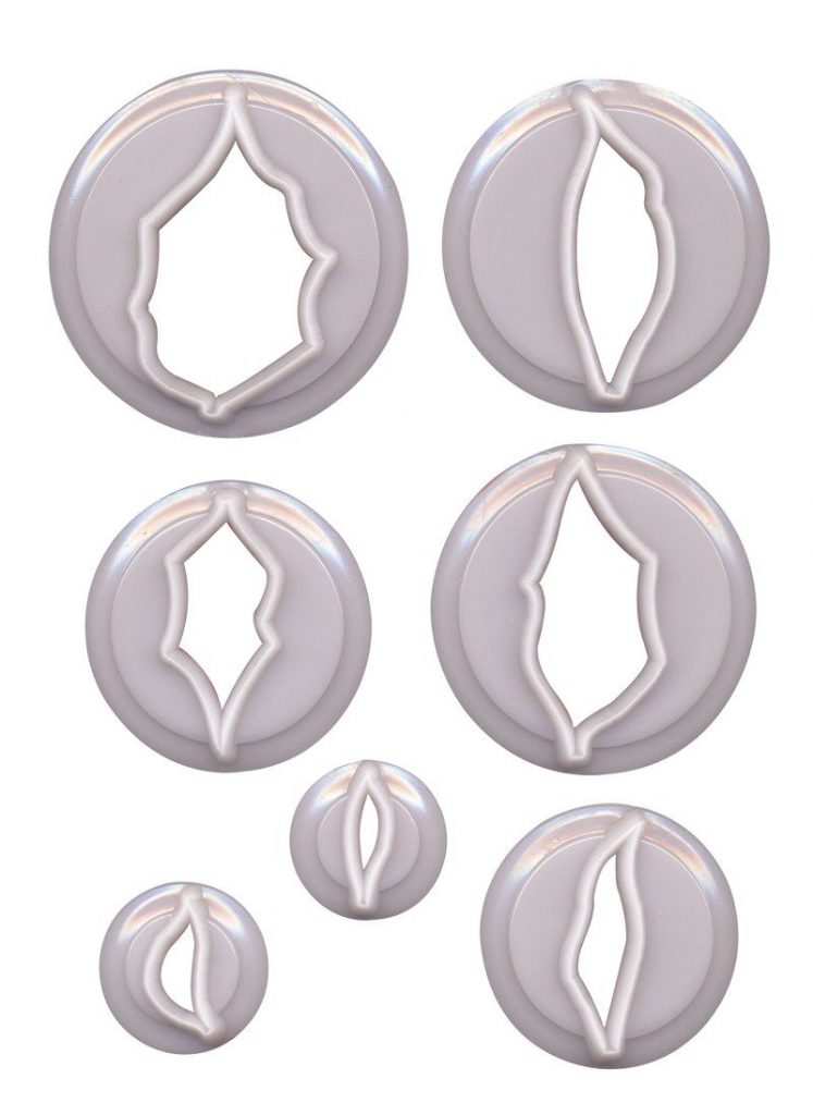 FMM 7 Piece Poinsettia Cutters